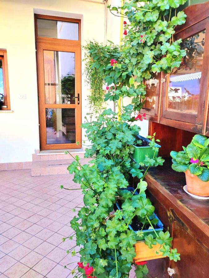 Hotel Luisa Brenzone sul Garda Εξωτερικό φωτογραφία
